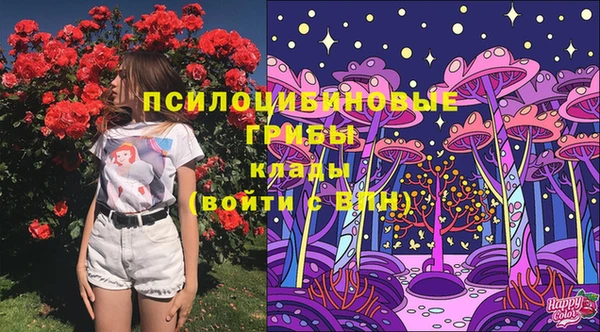 гидропоника Абаза