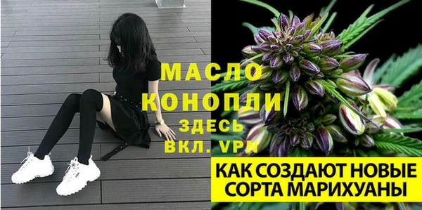 гидропоника Абаза