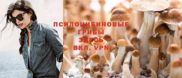 тгк Абинск