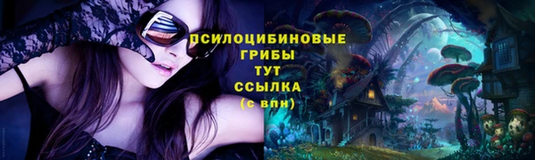 Альфа ПВП Алзамай